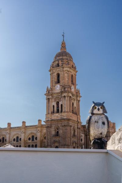 En la foto se muestra el objeto Apartamentos Gibralfaro Centro ubicado en la ciudad de Málaga.