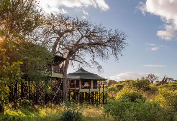 A la foto es mostra l'objecte TARANGIRE KURO TREETOP LODGE situat a la ciutat de Madege.