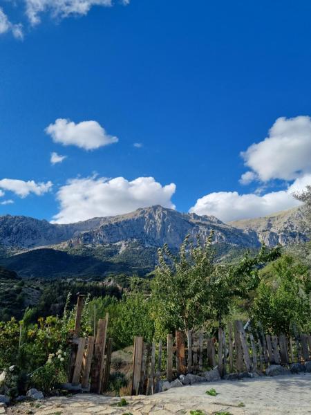 A la foto es mostra l'objecte Αγροτικό σπίτι agrikia με θέα στο βουνό πάρκινγκ και δωρεάν WiFi situat a la ciutat de Distomo.