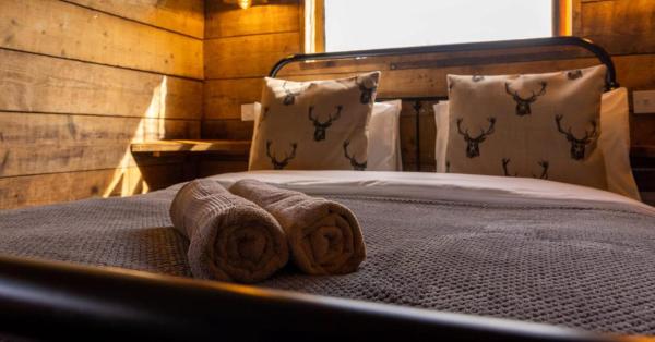 Luxury Safari Lodge-sleeps 4 6-deer Park-dogs Ok - United Kingdom
