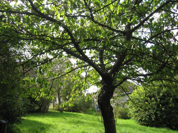 Na zdjęciu widoczny jest obiekt Maison avec grand jardin pour 15 couchages en Normandie położony w mieście Rots.