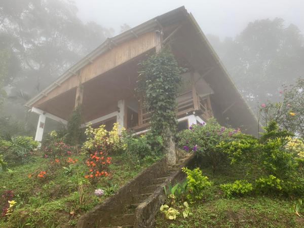 Na fotografii je vidět objekt Cabaña Guarumo de la Sierra - Minca nacházející se ve městě El Campano.