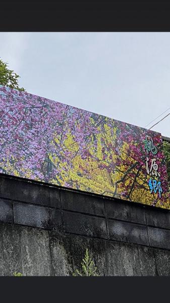 桃源郷の写真7
