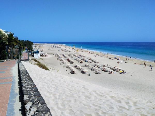 A la foto es mostra l'objecte Apartments Palm Garden in front of the beach situat a la ciutat de Morro del Jable.