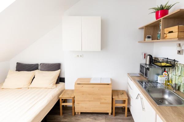 Petite Central Studio - Ljubljana