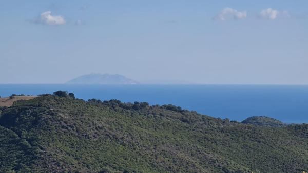A la foto es mostra l'objecte Côte Est Pancheraccia Chambre Petit déjeuner situat a la ciutat de Altiani.