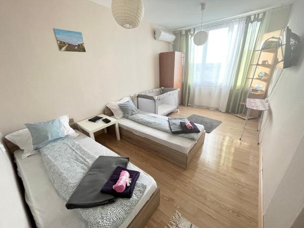 På bilden syns objektet Airport Apartment som ligger i staden Ravno Pole.