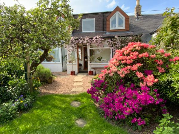 A la foto es mostra l'objecte The Nest - Cosy Holiday Cottage situat a la ciutat de Errol.