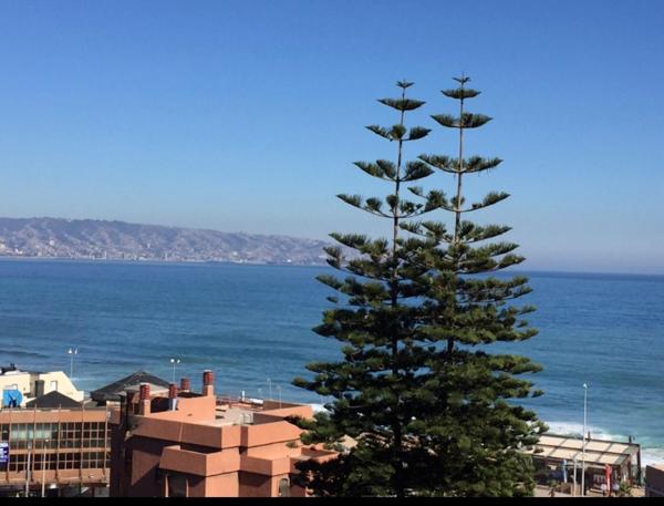 Fotografie 9: Reñaca, hermosa vista al mar
