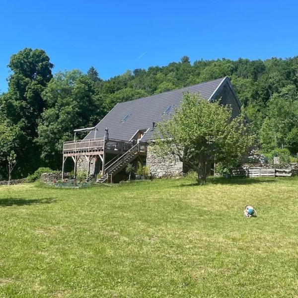 A la foto es mostra l'objecte Grand gite avec spa ouvert toute l'année : La grange de Loey situat a la ciutat de Méallet.