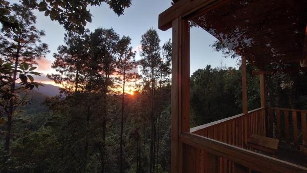 Cabaña en el Bosque de San José del Pacífico