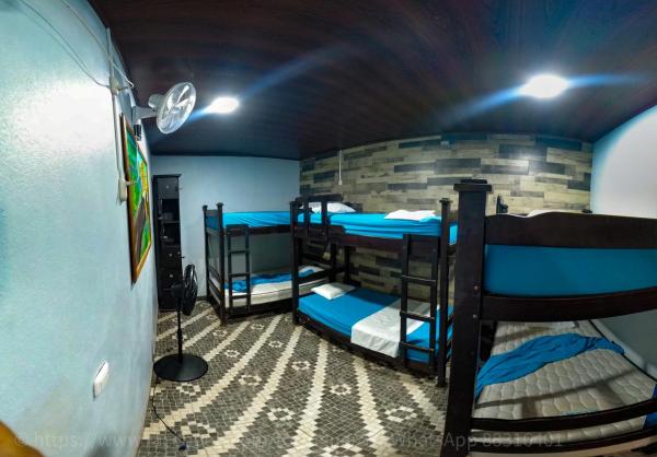 Hostel Tortuguero 7backpackers - Costa Rica