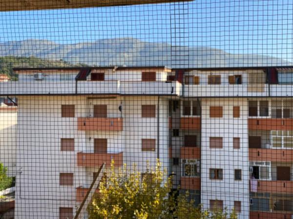 Nella foto è visibile l'oggetto Apartement Mimosa situato nella città di Scalea.