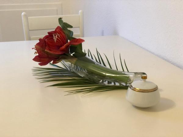 Fotografie 8: Ritfa 4