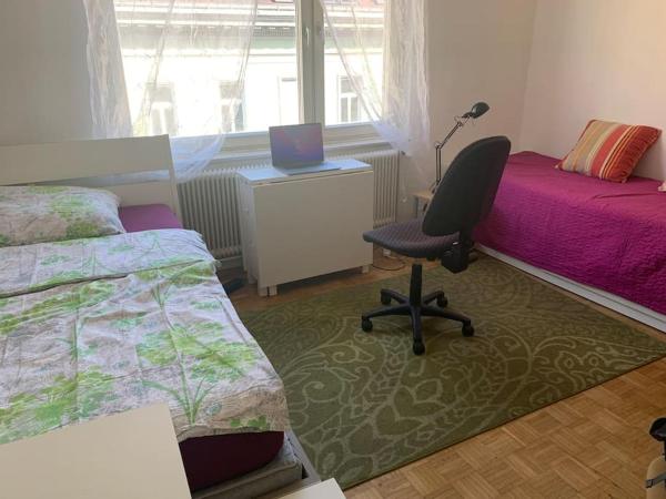 Kleine Wohnung im Zentrum Graz, Graz