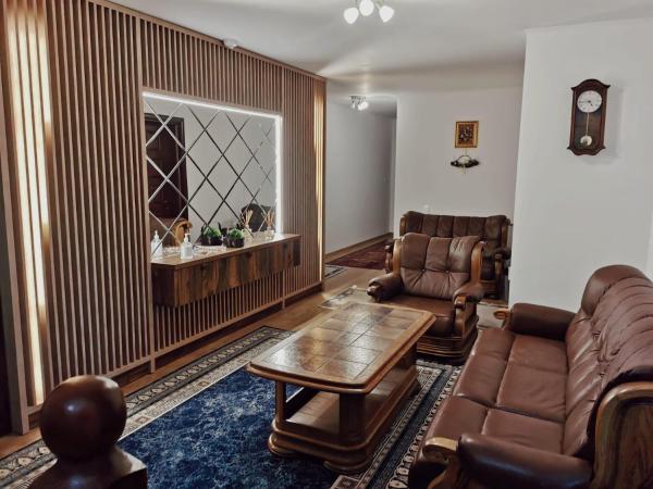 Na zdjęciu widoczny jest obiekt Vila Platon położony w mieście Valea Seacă.