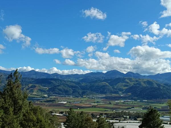 Nella foto è visibile l'oggetto Villa paloma situato nella città di Constanza.