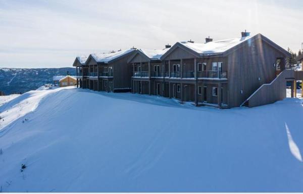 A la foto es mostra l'objecte Perfect moutain getaway! Beautiful Apartment at Skagahøgdi with Panoramic View situat a la ciutat de Gol.