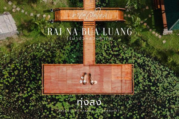 Nella foto è visibile l'oggetto ไร่นาบัวหลวง คาเฟ่ & ฟาร์มสเตย์ RaiNa BuaLuang Cafe & Farm Stay situato nella città di Ban Na No.