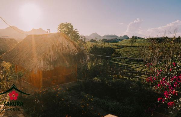 Sakura House - Mộc Châu - Homestay Yên Bình Giữa đồI Chè - Tỉnh Sơn La