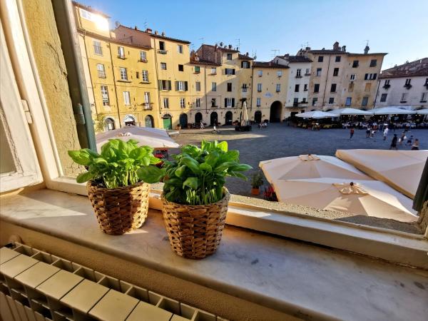 In Anfiteatro. Vivere Lucca Immersi Nella Storia - Lucca