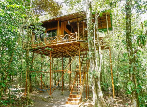 På bilden syns objektet Tree Houses Hotel Costa Rica som ligger i staden Castro.