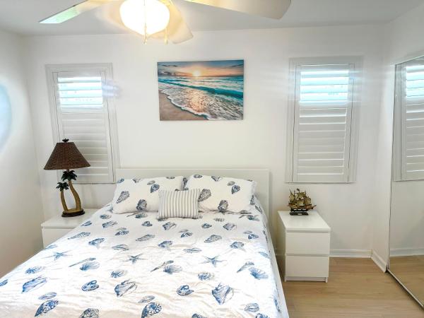 Photo 7 : Seashell 2