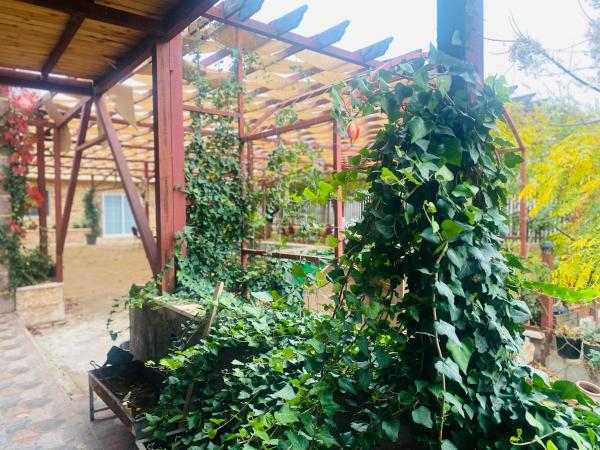Στη φωτογραφία φαίνεται το αντικείμενο Green houseجوهره الشمال που βρίσκεται στην πόλη An Nu‘ayyimah.