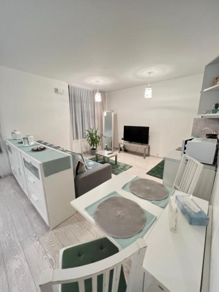 FREE PARKING IN GARAGE Karolina Plazza, new cosy studio with all you need, Prag