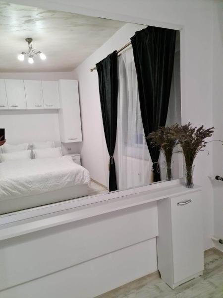 Na fotografii je vidět objekt APARTAMENT CENTRU nacházející se ve městě Baia Episcopiei.