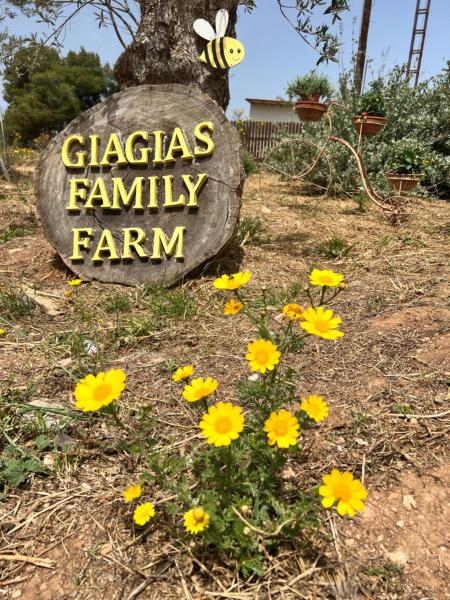 Na zdjęciu widoczny jest obiekt giagias family farm położony w mieście Kranidi.