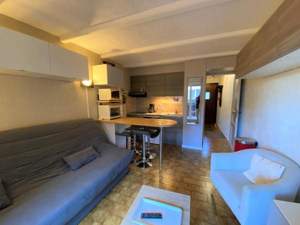 A la foto es mostra l'objecte Studio confortable proche remontées mécaniques, parking privatif - Multi Pass inclus - FR-1-693-88 situat a la ciutat de Châtel.