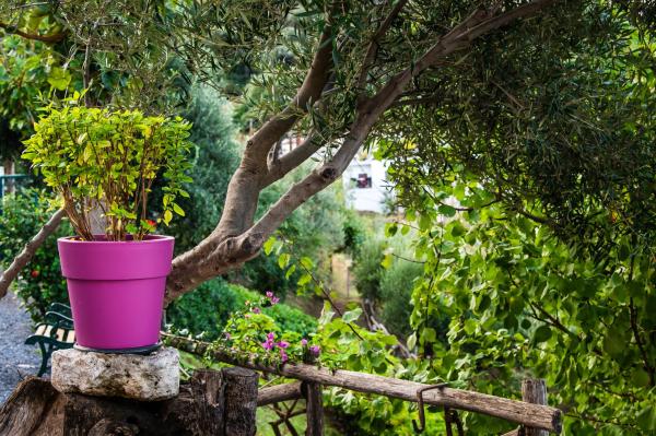 Chic & Spacious House in Rodia Heraklion photo 5