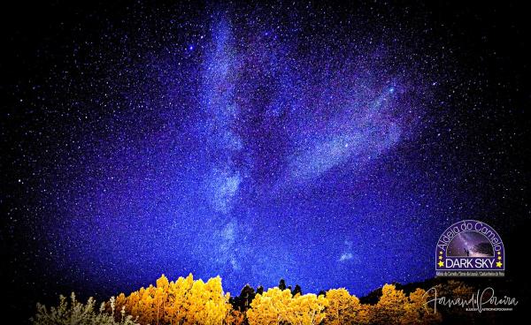 Foto 6: BLUESKY by Camelo Casas de Campo