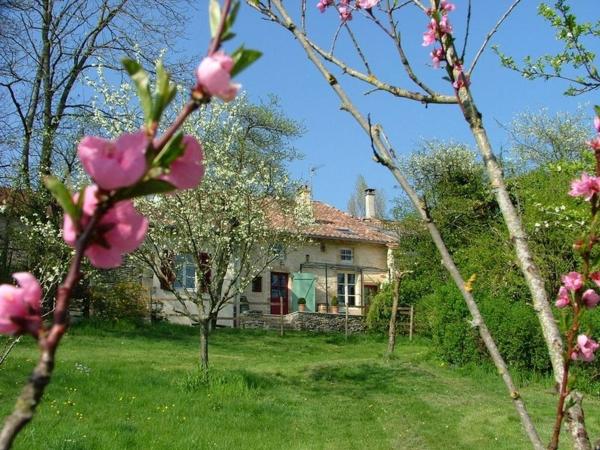 Auf dem Foto ist das Objekt Gîte de charme à Seigneulles, 3 chambres, terrasse et jardin, entre Verdun et Bar-le-Duc - FR-1-585-33 in der Stadt Seigneulles zu sehen.