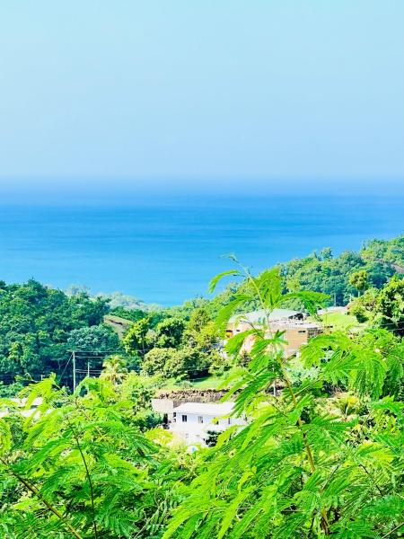 Kuvassa näkyy kohde Jealous Mountain Bed-Sit, joka sijaitsee kaupungissa Saint Paulʼs.