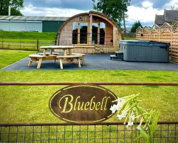 A la foto es mostra l'objecte Bluebell situat a la ciutat de Rhayader.