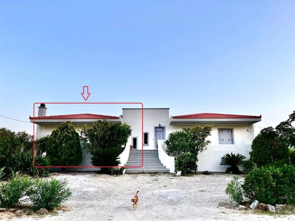 A la foto es mostra l'objecte EvgatisBeach Loyskoy 1 situat a la ciutat de Thános.
