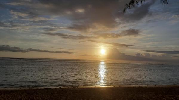 Foto 1: Loarive