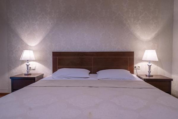 写真にはメスティア市にあるHotel David Zhorzholianiが写っています。