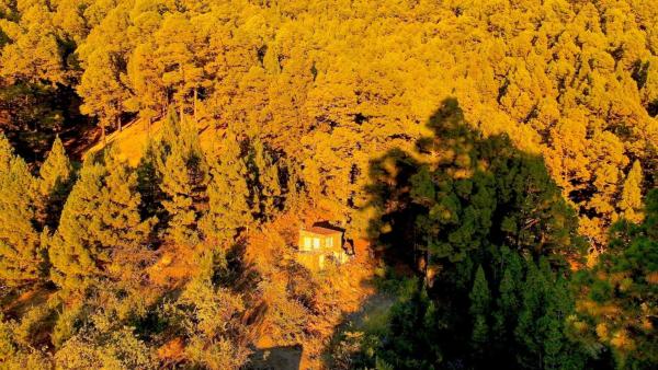 Tiny House Vogelnest - La Palma