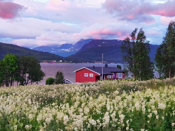 På billedet ses objektet 7 person holiday home in Rossfjordstraumen beliggende i byen Jøvik.