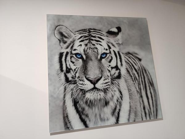 Eye Of The Tiger. Apartament W Centrum Mrągowa. - Mazury