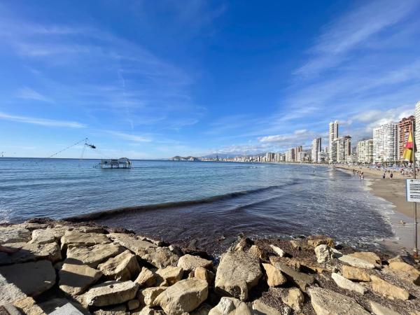 Aries Levante Beah, Benidorm