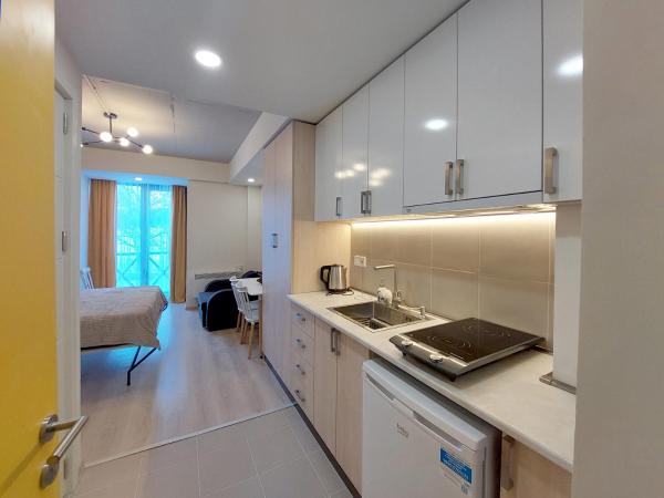 A la foto es mostra l'objecte Bakuriani Mix Apartment 207 situat a la ciutat de Bakuriani.