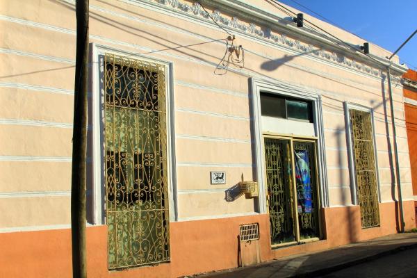 A la foto es mostra l'objecte La Pantera Negra situat a la ciutat de Mérida.