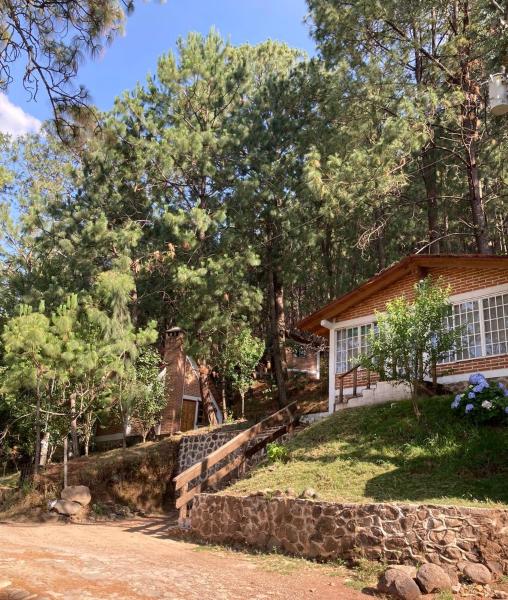A la foto es mostra l'objecte Cabañas las Alazanas situat a la ciutat de Mazamitla.