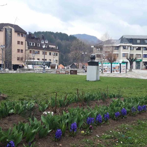 Auf dem Foto ist das Objekt GUESTHOUSE TARA in der Stadt Kolašin zu sehen.