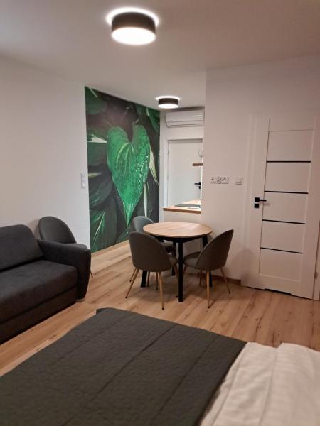 写真にはオシェク市にあるApartamenty Zielony Liśćが写っています。