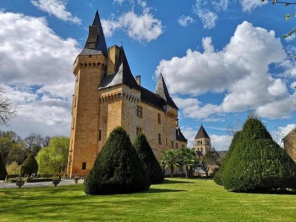 A la foto es mostra l'objecte Château de Clérans situat a la ciutat de Sergeac.